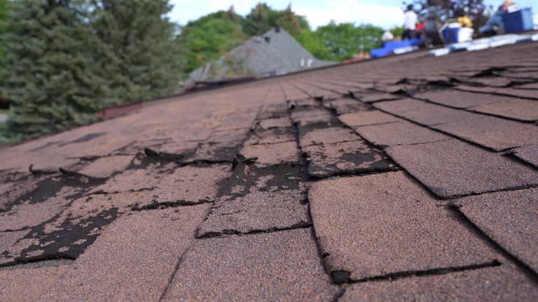 Best Emergency Roof Repair Services  in Stapleton, AL