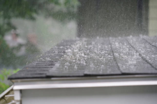 Reliable Stapleton, AL Roofing Service Solutions