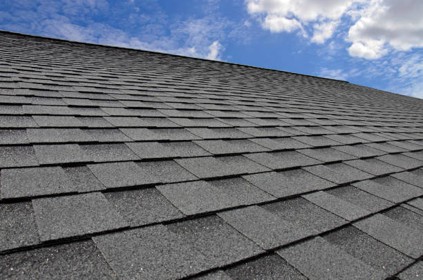 Trusted Stapleton, AL Roofing Service Experts