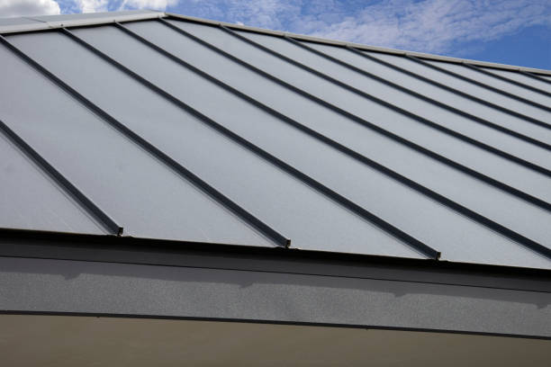 Skylights in Stapleton, AL
